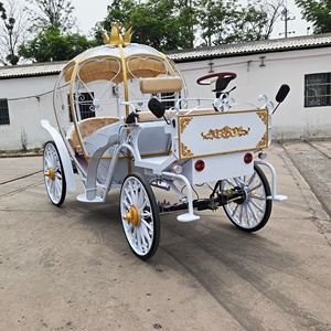 Carrozza Elettrica a Forma di Zucca Stile Cenerentola di Yiyang - Colori Personalizzabili, 4-6 Posti per Matrimoni, Eventi e Tour Turistici - Massimo Sconto - Product Image 6