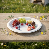 Plato Ovalado de Bagazo Biodegradable de 10 Pulgadas Directo de Fábrica, Contenedor Clásico Ecológico Desechable para Alimentos, Ideal para Eventos