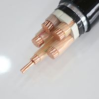 2/3/4/5-adriges Kupferkabel 16mm2 25mm2 35mm2 50mm2 70mm2 95mm2 120mm2 XLPE Flammhemmendes Stromkabel für Bauarbeiten