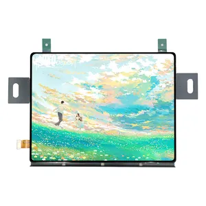 New Supper Color 8 inch 2480x1860 Resolution MIPI SPI High Contrast Ratio 600000:1 Oled Amoled Display