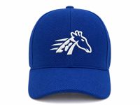 Casquette de baseball ajustée en maille alvéolée haute performance avec double broderie Cheval au galop