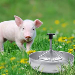 Cheap aço inoxidável Leitão Alimentador <span class=keywords><strong>Bowl</strong></span> para Porcos Calha Porco Alimentando Recipiente com Plástico Groove Rod Pet Food <span class=keywords><strong>Bowl</strong></span> para Venda - Product Image 4