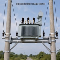 Transformateur de distribution triphasé immergé dans l'huile CE EAC ISO UL S11 125KVA 50/60Hz 6.3kV 10kV