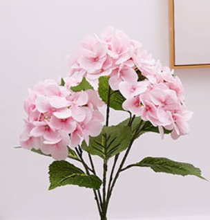 สีชมพูอ่อน