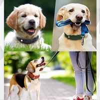 Collier GPS de haute qualité pour animaux de compagnie, chat, chien, dispositif anti-perte intelligent pour animaux de compagnie, traceur GPS pour animaux de compagnie