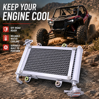 Radiateur de refroidissement à eau pour Bashan 200CC 250CC BS200 BS200S-7 UTV ATV Quad Buggy Accessoires Moteur