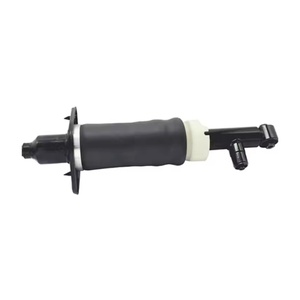 Amortisseur pneumatique 1999-2006, suspension pneumatique, arrière, adapté à Audi A6 [C5] 4b - Product Image 1
