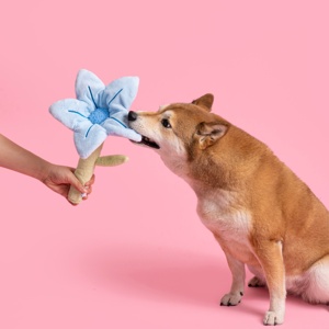 Giocattolo per Animali Domestici a Forma di Fiore - Gioco Sonoro con Nascondiglio per Snack, Resistente ai Morsi per Cani e Gatti, Regalo di Compleanno - Product Image 3