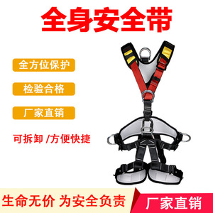 Harnais de sécurité complet à cinq points avec anneaux en D en acier inoxydable, longueur réglable, capacité de 250 kg, pour travaux en altitude - Product Image 5