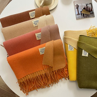 Vente chaude hiver chaud couleur unie Pashmina châles couverture écharpe femmes hommes longue grande Double face cachemire écharpes frange châles