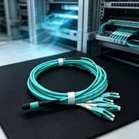 Cable de Conexión de Fibra Óptica LSZH 10G MPO-LC OM4 Multimodo de 8 Núcleos para Centro de Datos