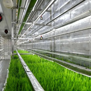 Contenedor de Forraje de Cebada y Avena de Alto Rendimiento - Sistema de Cultivo Hidropónico Motorizado Multicapa de Germinación Rápida para Aves de Corral y Ganado Lechero - Product Image 1