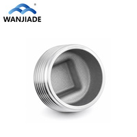 Raccord de tuyauterie en acier inoxydable 304 DN8-DN80, surface lisse, basse pression, bouchon carré à filetage mâle, classe 150
