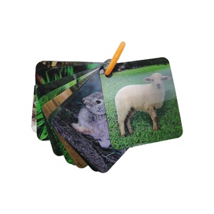 Tarjetas Flash cognitivas para bebés, juguetes de aprendizaje temprano en inglés chino, tarjeta 3D educativa para niños, personaje de frutas vegetales y animales - Product Image 1