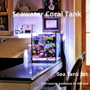 Aquarium marin écologique en <span class=keywords><strong>verre</strong></span>, ensemble complet, petit, blanc, pour débutants, bureau, 40, filtre arrière, fonctionnement facile, aquarium pour poissons coralliens - Product Image 2