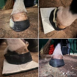 Fusione protettiva con zoccolo duro stabile per nastro di fusione in fibra di vetro per cavalli - Product Image 5