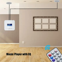 Bluetooth arka plan müzik ana bilgisayar için müzik amplifikatör 86 kutu İngilizce ev amplifikatör Bluetooth amplifikatör için duvar ile