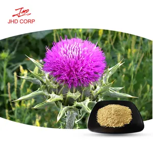 Kosher ฮาลาลรับรองที่มีคุณภาพสูงแห้ง Silybin นม Thistle ผงสารสกัดจาก