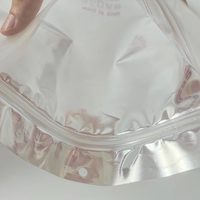 Sacs d'emballage en plastique PE sur mesure avec fermeture éclair en aluminium pour vêtements, chaussettes, sous-vêtements - Étanches à l'humidité, couleur/taille/logo personnalisables