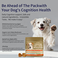 OEM Private Label Vitamin B1 Soft Chews Pereda Kecemasan dengan L-Theanine & Minyak Salmon Chamomile untuk Anjing & Kucing