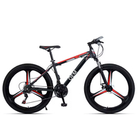Vélos de montagne à vitesse variable en aluminium avec freins à disque, prêts en stock, pour fitness, mise en forme et exercice aérobie, avec pédales ordinaires