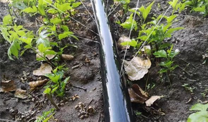 Tuyau de pluie de pulvérisation agricole en plastique PE tuyau de système d'irrigation à plat pour tuyau de pluie d'arrosage - Product Image 5