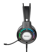 Casque Gamer Filaire Circum-auriculaire Dynamique Haute Qualité avec Éclairage RGB, Faible Latence, Étanchéité IPX4, Son Hi-Fi pour Gaming/DJ, Câble de 2m