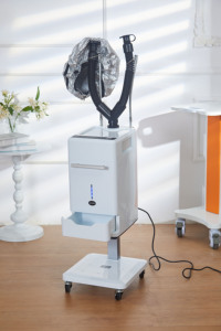 Hot Selling Profession elle Haarpflege Nano Era Dampfer Salon Friseur Promotion Ozon Haar behandlung Spray Maschine für den Spa-Gebrauch - Product Image 3