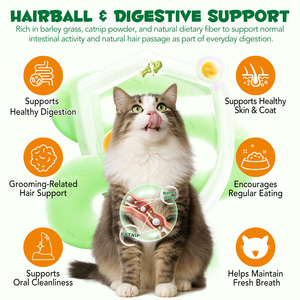 Friandises à la saveur de saumon Oimmal pour chats, emballage personnalisé, friandises poreuses pour la santé des poils, de la peau et du pelage, nourriture pour chats âgés de plus de 3 mois - Product Image 6