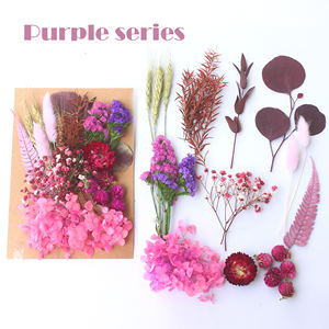 <span class=keywords><strong>Kit</strong></span> de fleurs séchées naturelles pressées, mélange de feuilles d'eucalyptus pour la création de bijoux en résine, le nail art, la fabrication de bougies, la décoration bohème de la maison - Product Image 1