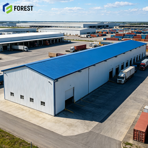 Pre Engineered Large Span Industrial Steel Structure Warehouse Heavy Duty Modular <b>Metal</b> Cargo Storage Facility - Product Image 1