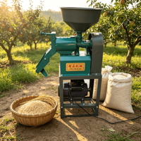 Machine à riz combinée automatique complète commerciale de Chine pour atelier de riziculture