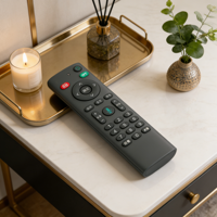 Télécommande vocale sans fil OEM/ODM à alimentation unique, compatible avec les boîtiers Smart TV