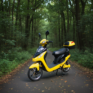 Vélo électrique EEC Stealth Bomber, motocyclettes électriques 1000w, cyclomoteur électrique, prix d'usine, OEM - Product Image 1