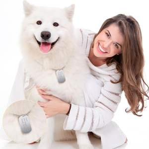 Collares y Colgantes <span class=keywords><strong>de</strong></span> Acero Inoxidable con Grabado Láser Personalizado al por Mayor, Placa <span class=keywords><strong>de</strong></span> Identificación para Perro, Collar para Hombre - Product Image 1