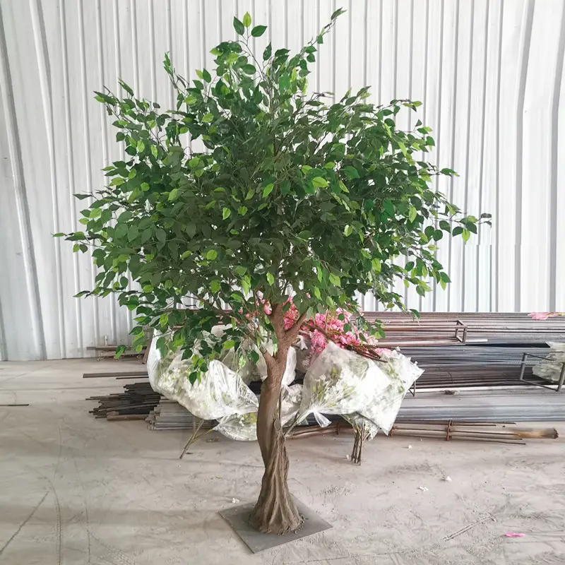 ต้น Lyrata บอนไซประดิษฐ์สีเขียวพร้อมใบ Ficus สีเขียวพืช Faux สำหรับขาย