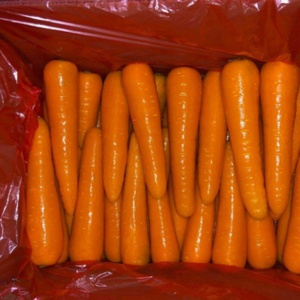 Hữu cơ trồng rau tươi bán buôn cà rốt/tỏi hạt giống giá của cà rốt/tỏi - Product Image 4