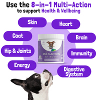90 Soft Chews 8 en 1 Multivitamines et complément vitaminique pour animaux de compagnie pour soutenir l'immunité, la digestion, la santé des articulations et du cœur des chiens