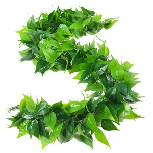 Qingxu Simulated Pothos And Grape Leaves Decorative Vines 100cm-200cm <b>Plastic</b> Silk Flowers For Wedding Home Decoration - Product Image 5