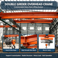 Grue métallurgique à double poutre motorisée par PLC de marque Wanlong, capacité de levage de 12,5 T, portée de 31,5 m, 20 m