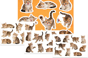 Paquete <span class=keywords><strong>de</strong></span> 4 Pegatinas <span class=keywords><strong>de</strong></span> Papel con Gatitos Realistas y Adorables, Calcomanías Decorativas <span class=keywords><strong>de</strong></span> Gatos para Álbumes <span class=keywords><strong>de</strong></span> Recortes, Diarios, Planificadores, Manualidades y Papelería - Product Image 2