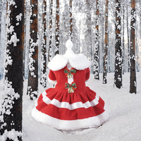 Nouvelle tenue pour animaux de compagnie en peluche épaisse rouge motif flocon de neige Noël Automne Hiver