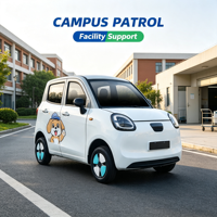 Vehículo Eléctrico Mini de 4 Plazas para Adultos, de Baja Velocidad, con Controles Inteligentes, para Ciudad