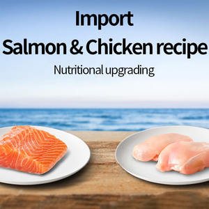 מזון לחתולים יבש ללא תבואה חלאל יבש למבוגרים ולגורים דוגמיות מזון לחתולים זמין - Product Image 4