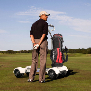 Carrito de golf para adultos de China, bicicleta de golf, monopatín de golf eléctrico, patinete de 4 ruedas, 2000W, 60V, al por mayor - Product Image 4