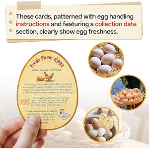 Lot d'autocollants pour œufs frais de la ferme, comprenant des cartes d'instructions, autocollants ronds non lavés pour œufs fraîchement pondus, autocollants rectangulaires pour cartons - Product Image 4