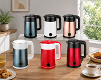 Bouilloire électrique portable en acier inoxydable en gros, appareil électroménager avec bouilloire à café, théières, bouilloires