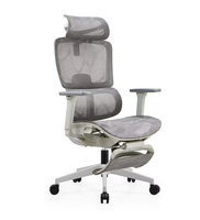 Chaise de bureau exécutive ergonomique moderne en maille avec accoudoirs réglables, pivotante et rafraîchissante pour le bureau et la maison