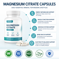 Capsules de magnésium en vrac sous marque privée, certifiées GMP, fabrication OEM, capsules de citrate de magnésium