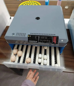 Incubateur GOYOJO 36-500 entièrement automatique pour poulets et éclosoir 220V 35W Garantie 1 an - Product Image 3